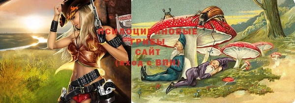 дурь Армянск