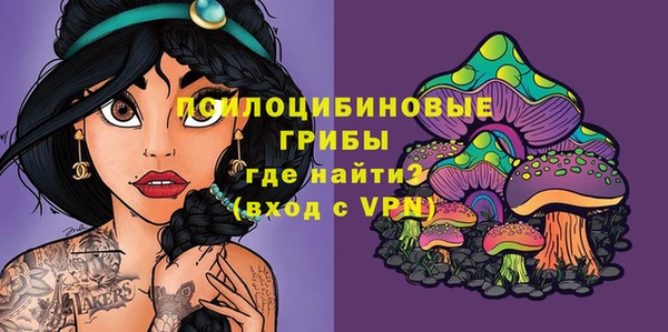дурь Армянск